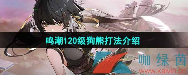 《鸣潮》120级狗熊打法介绍