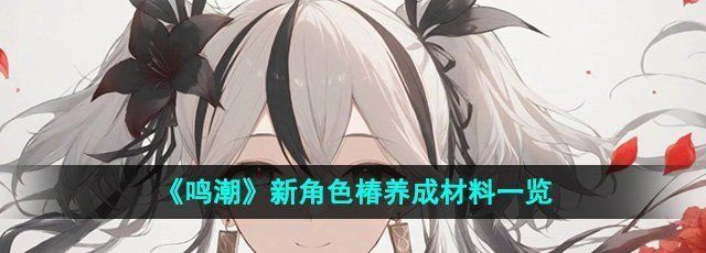 《鸣潮》新角色椿养成材料一览